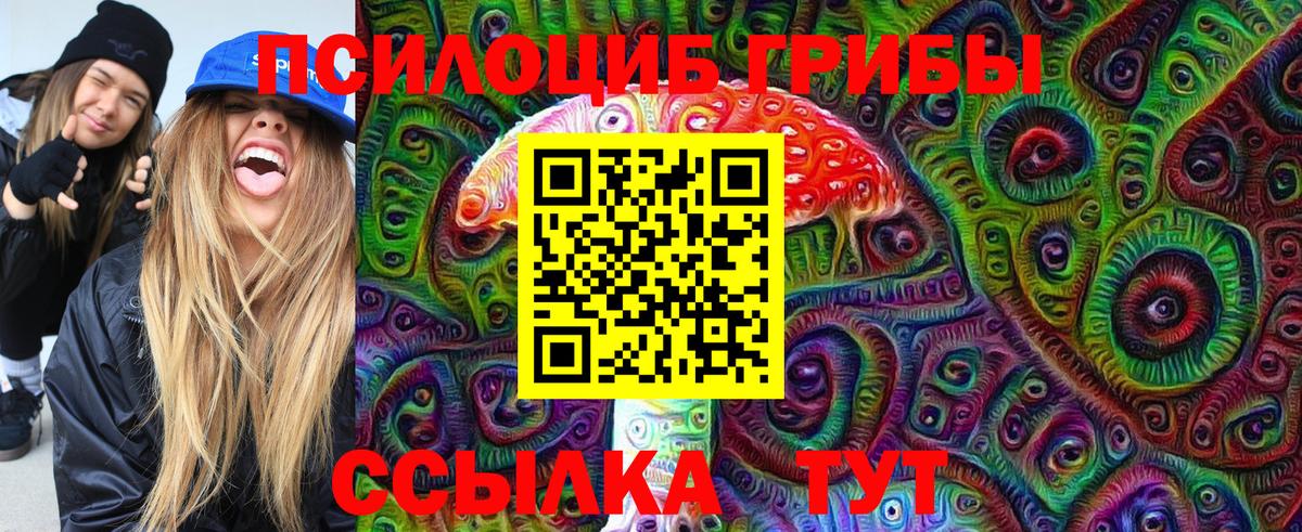 Сухой Лог  Псилоцибиновые грибы мухоморы  Вход с VPN 